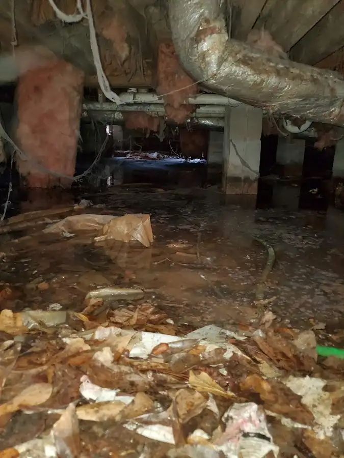 Crawl space flood assessment for Leak Detection & Repair in Bridge City