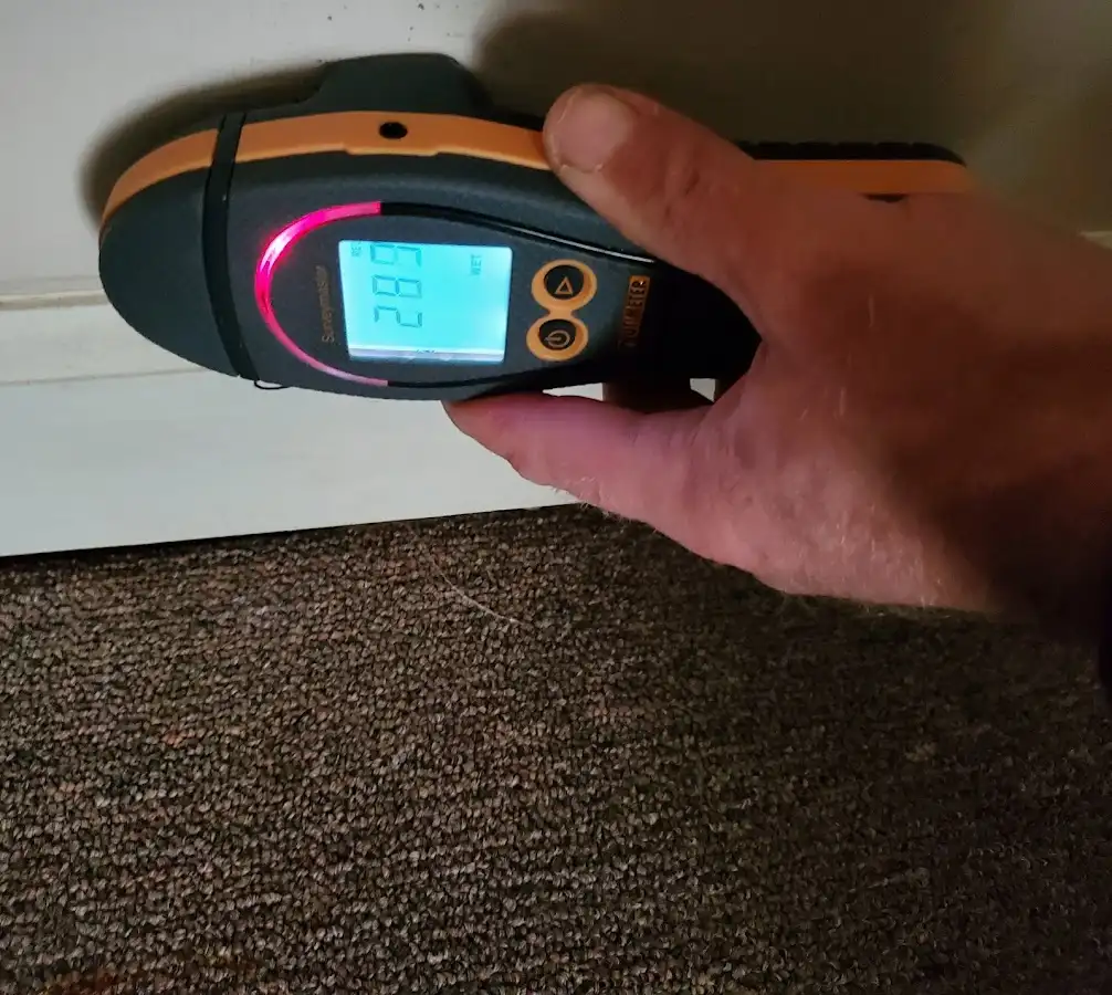 Moisture detection at baseboard during Mold Inspection & Testing in Bridge City